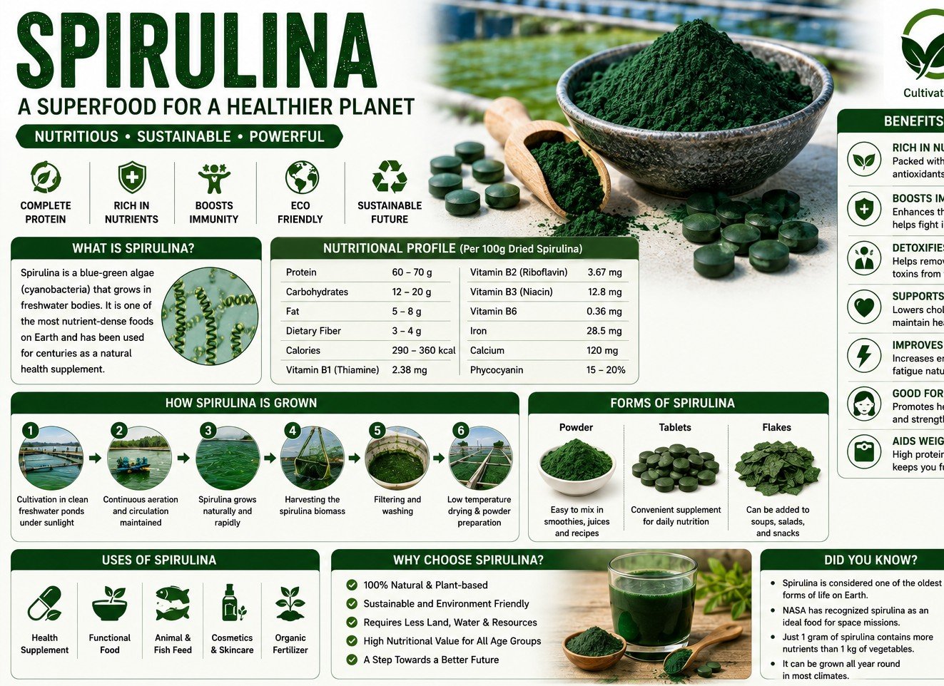 Spirulina Production